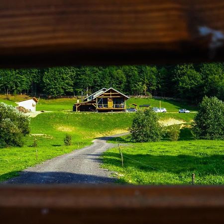 Valley House Cabana Cu Priveliste De Vis Sita Buzăului Dış mekan fotoğraf