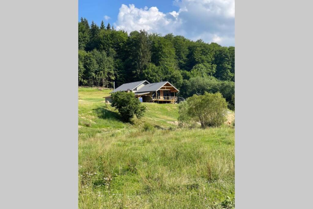 Valley House Cabana Cu Priveliste De Vis Sita Buzăului Dış mekan fotoğraf