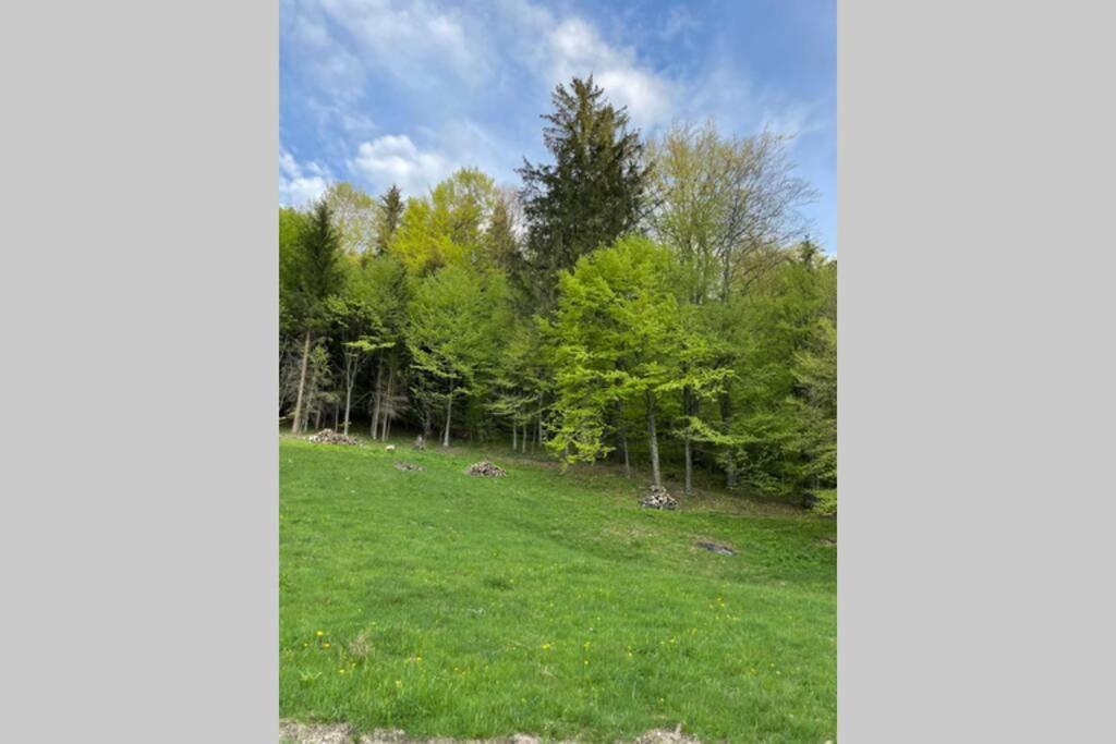 Valley House Cabana Cu Priveliste De Vis Sita Buzăului Dış mekan fotoğraf