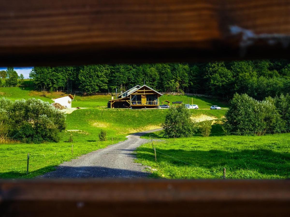Valley House Cabana Cu Priveliste De Vis Sita Buzăului Dış mekan fotoğraf